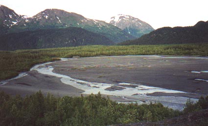 Run-off from Exit glacier [Yashica T4S]