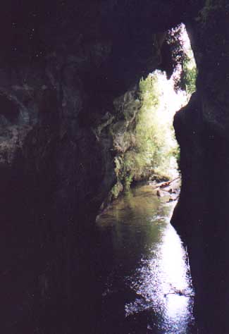 Natural Bridge [Yashica T4S]