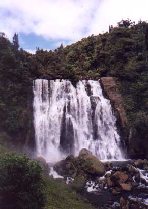 North Island waterfall [Yashica T4S] 